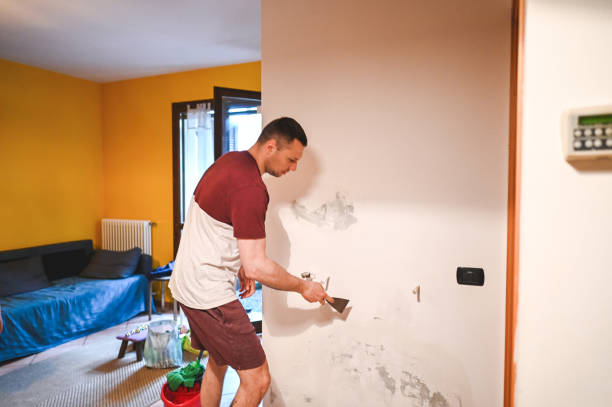 Best Office Mold Removal Services  in Elizabeth Lake, CA